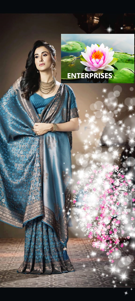 PREMIUM DESIGNER SAREE  ΤΑΝΑ ΒΑΝA SIROSKI WORK